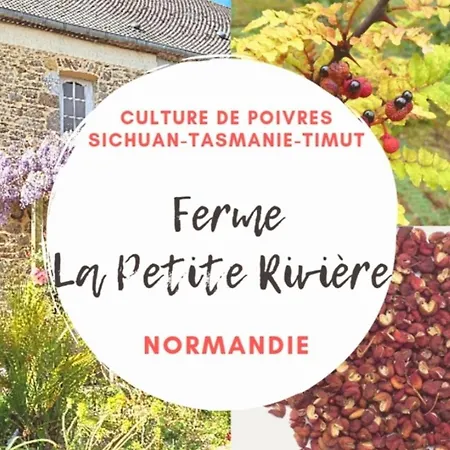 Plantation De Poivre- La Petite Riviere